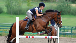Jumping paard